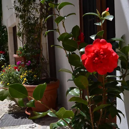 圣斯特凡诺住宿加早餐旅馆 住宿加早餐酒店 普蒂尼亚诺